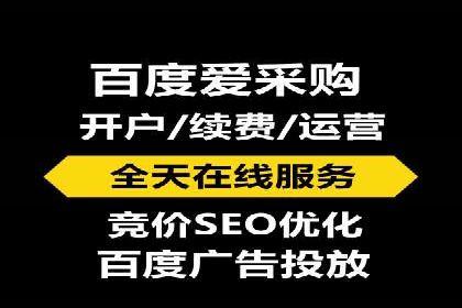 某品牌通过百度竞价提升线上销售业绩的案例